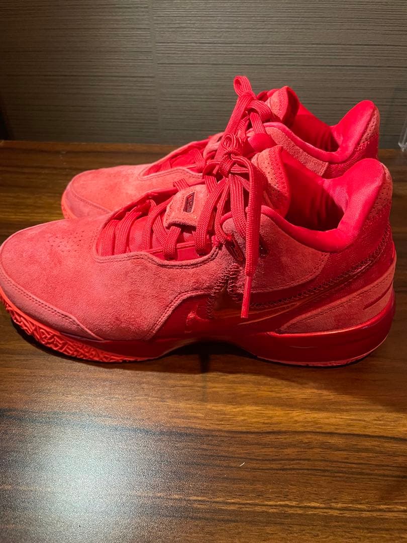 ZM LEBRON NXXT GEN AMPDバスケットボールシューズ9.5