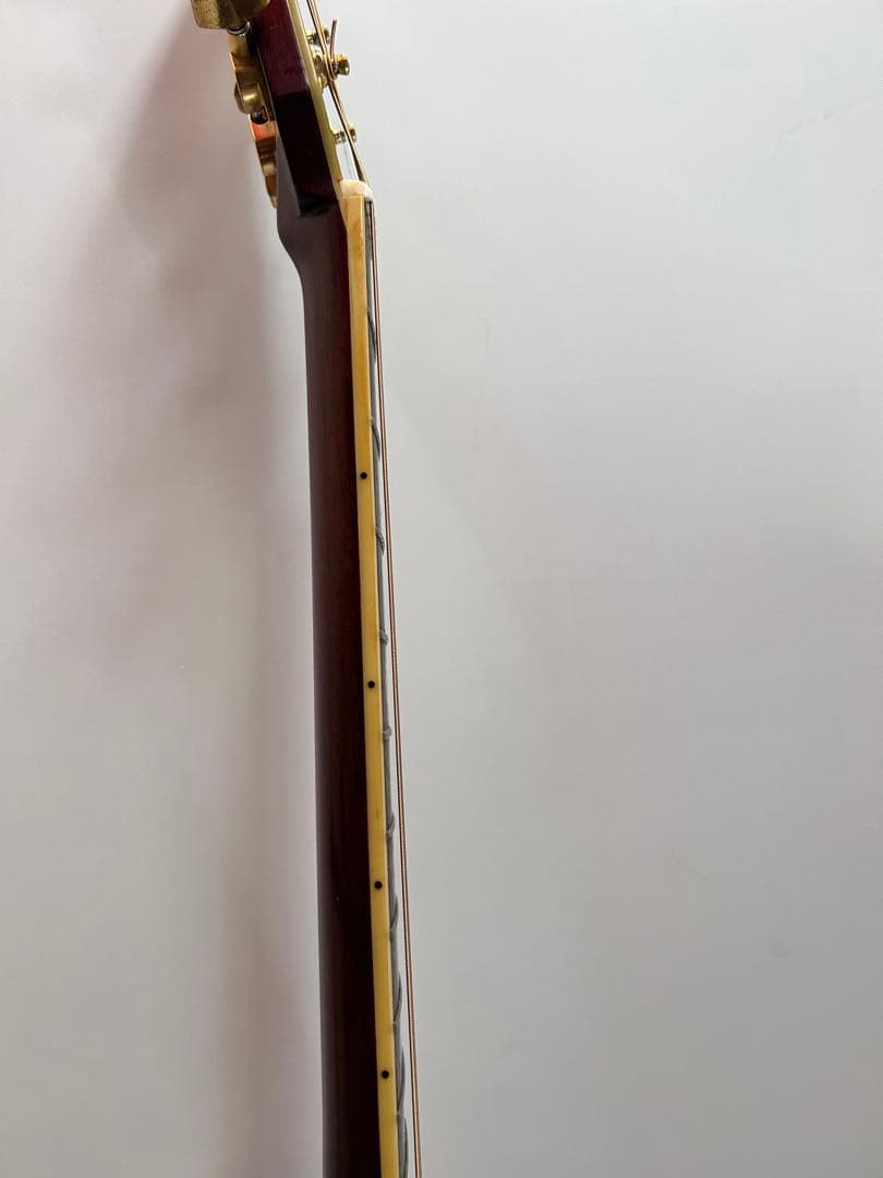 Morris TF-50アコースティックギター