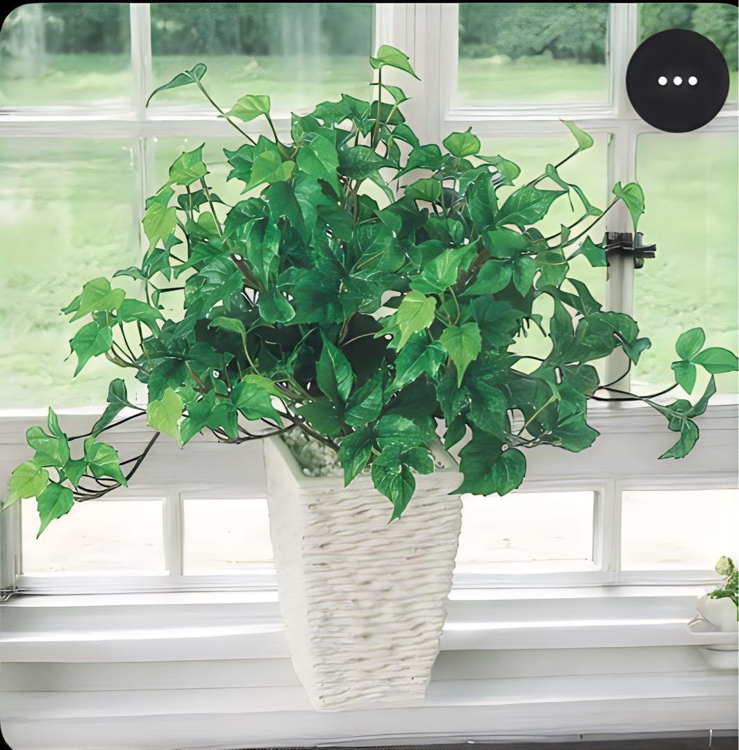 光触媒　人工観葉植物　ウォールグリーン　フェイクグリーン　シサスR