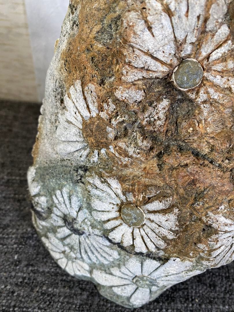 花模様の水石　鑑賞石　菊花石 自然石　盆石　水石　観賞石　置物