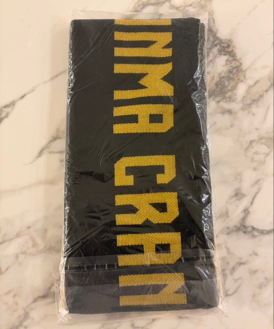 群馬クレインサンダース　ファンクラブ特典4点セット ユニフォーム