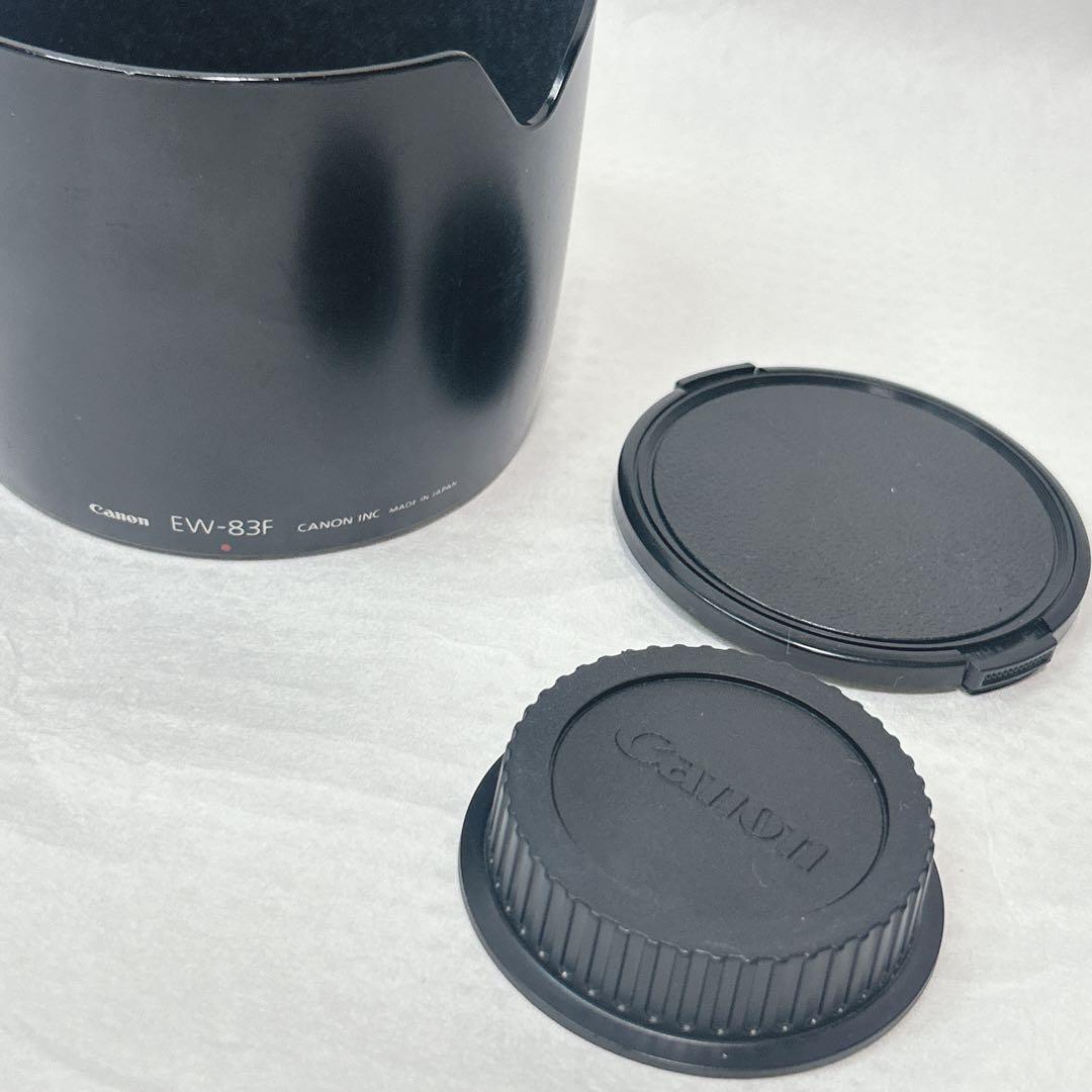 Canon EF 24-70mm F2.8L USM ズームレンズ