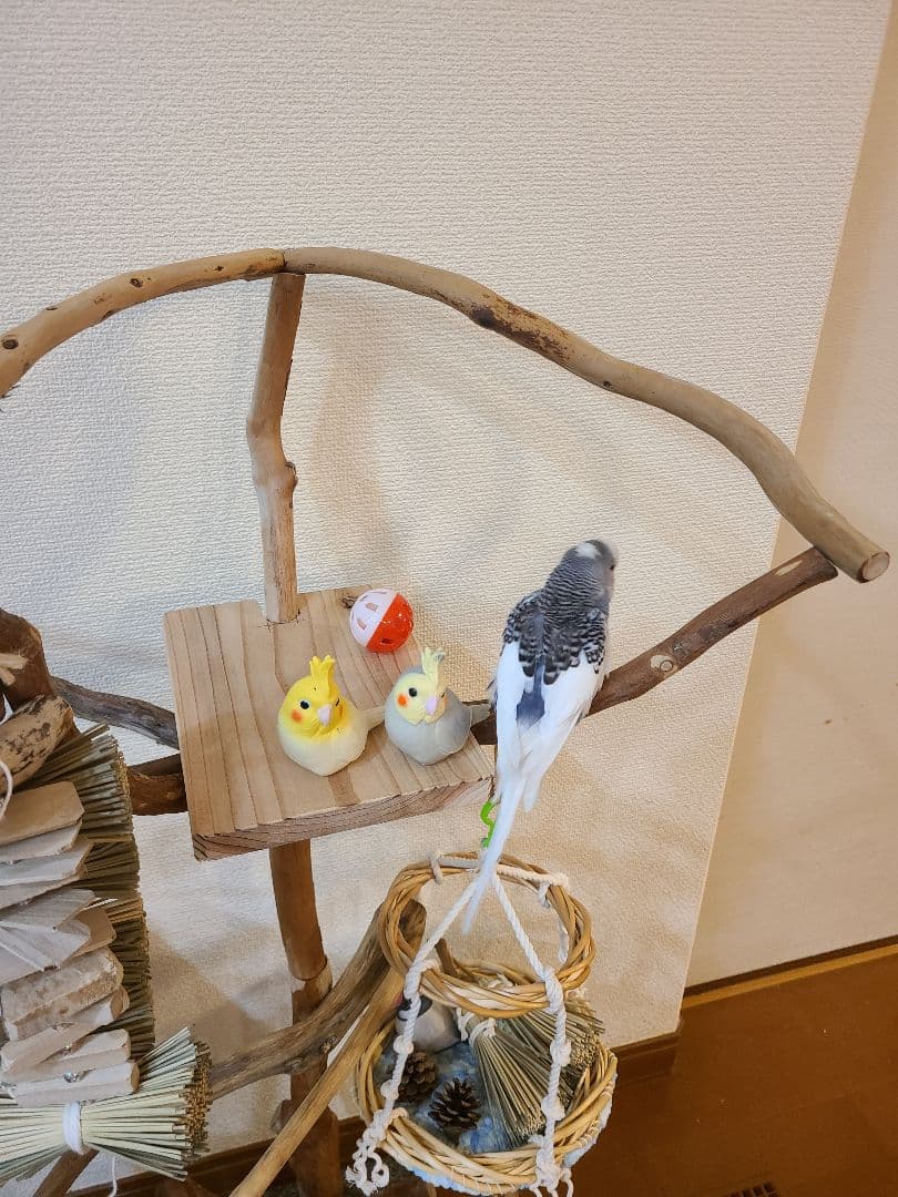 ③ ☆てん☆オーダーバードアスレチック　流木　ハンドメイド