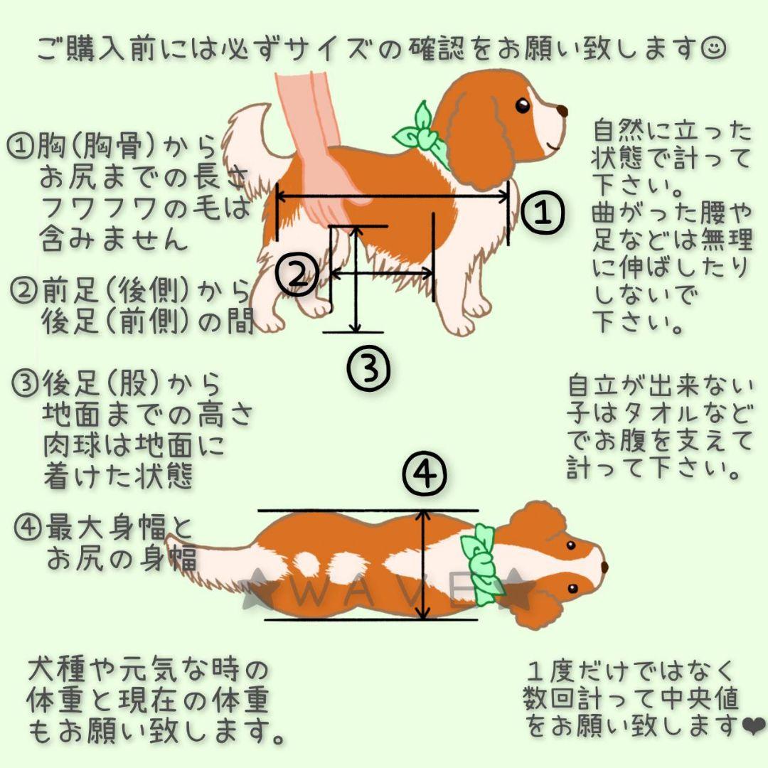 ポッケ　犬用車椅子　犬の歩行器　歩行補助　歩行サポート　犬の車いす