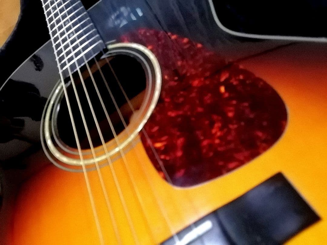 ★限定特価★コンパクトで弾きやすい★MORRIS F12-TS★トップ単板♪