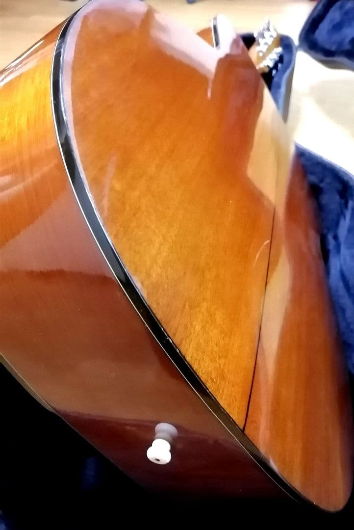 ★限定特価★コンパクトで弾きやすい★MORRIS F12-TS★トップ単板♪