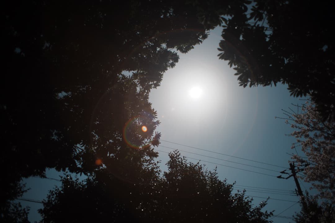 【希少・極美品】 Super Takumar 24mm F3.5 788