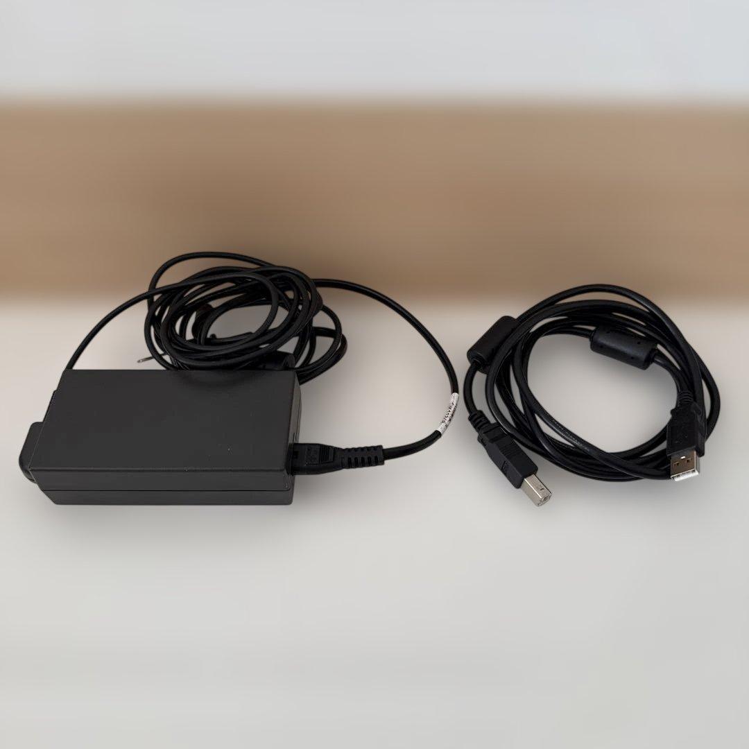 CANON インクジェットプリンター PIXUS iP110