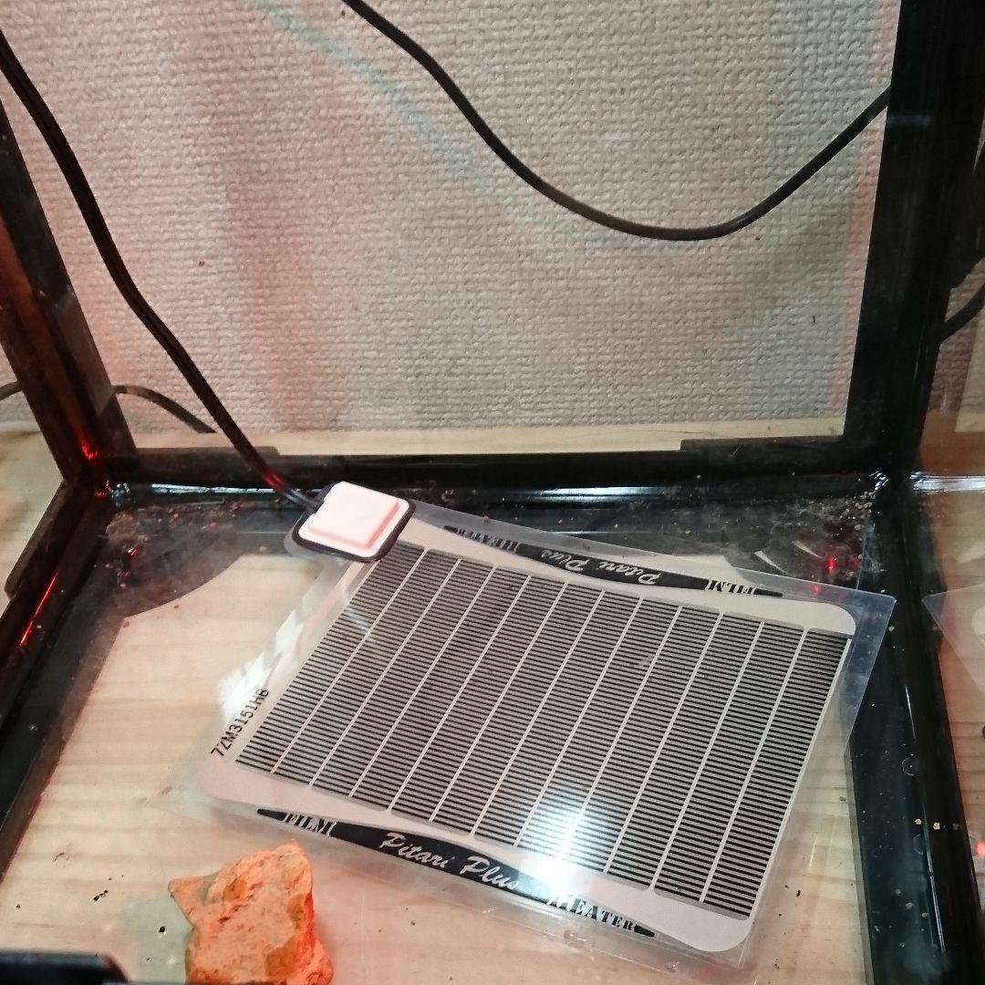 爬虫類ケージ 小型の両生類、爬虫類に！