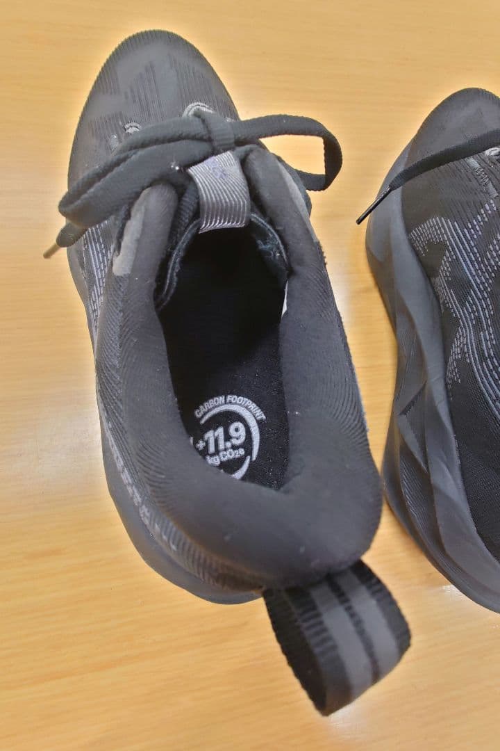 着用1回☆アシックス NOVABLAST 5ランニングシューズ 25cm ワイド