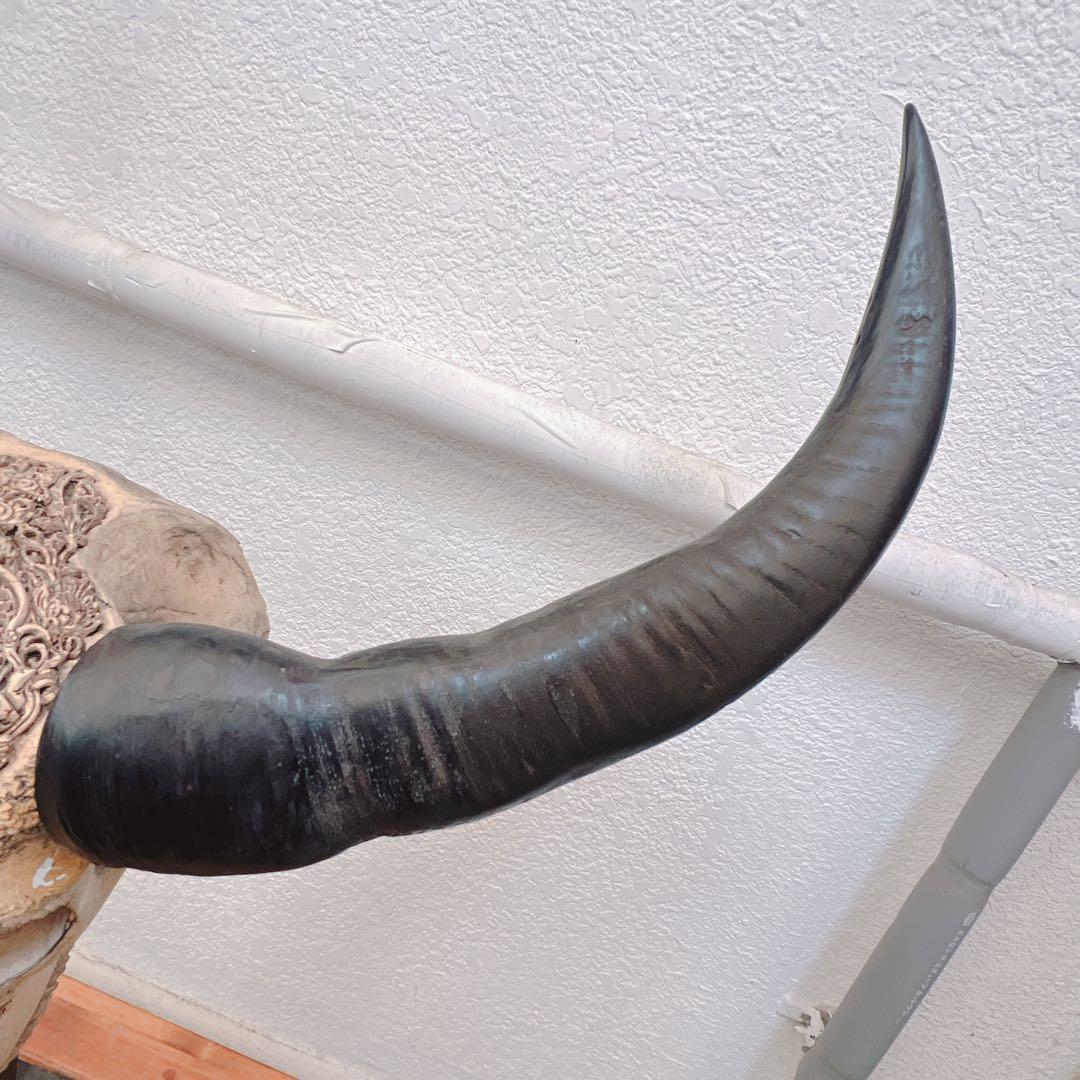 バッファロースカル　牛頭蓋骨　壁掛け彫像