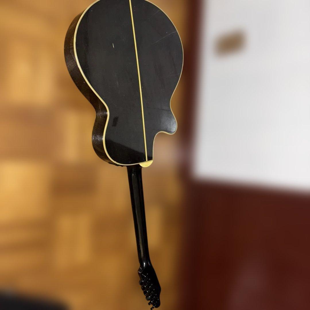 タカミネ　エレアコ