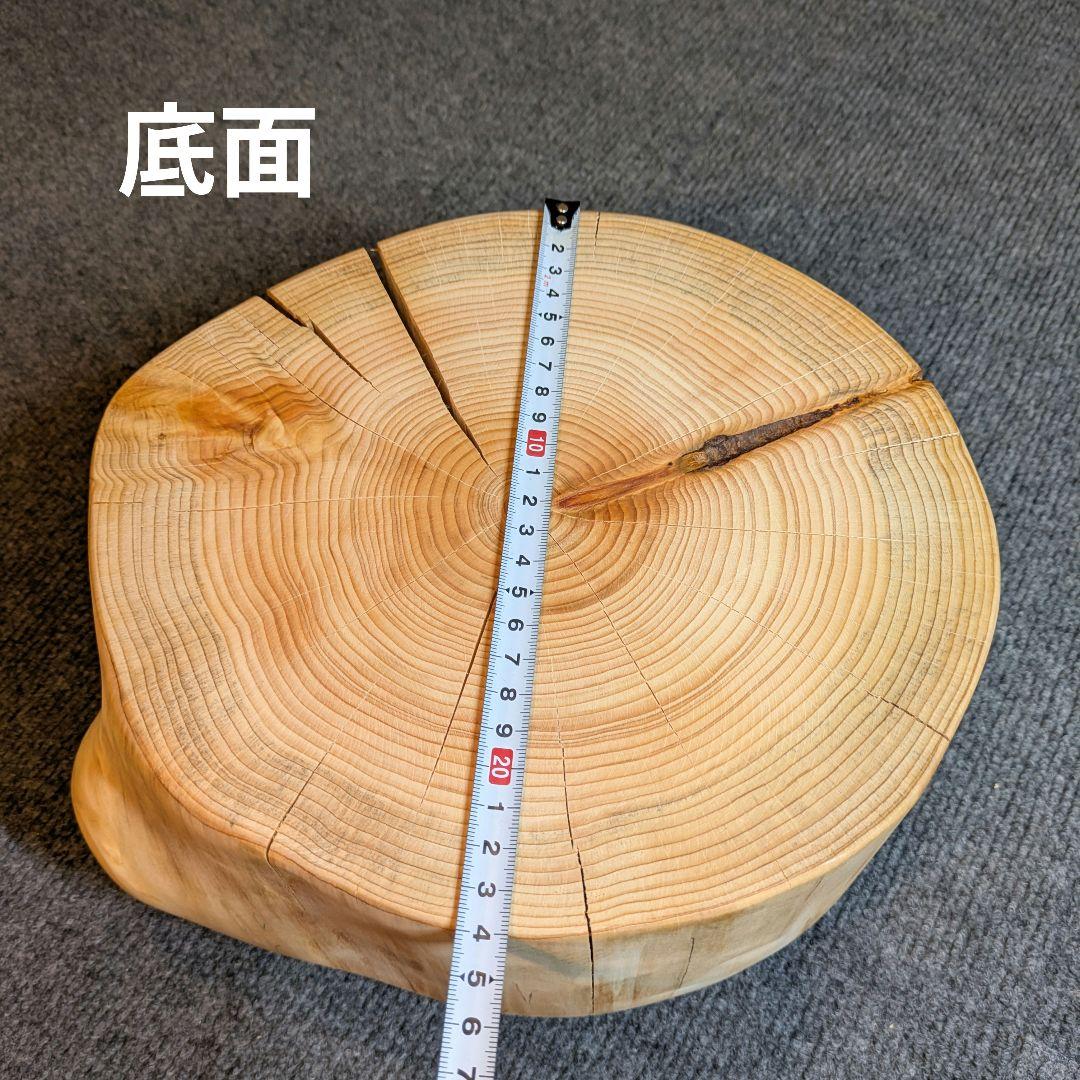 檜　丸太　輪切り　高さ約15㎝