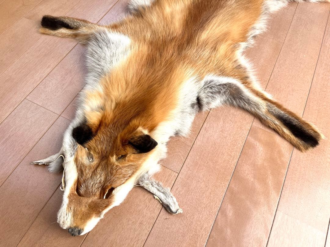 フォックス 毛皮 リアルファー A3 ★ ラグ　敷物　インテリア 狐　キャンプ