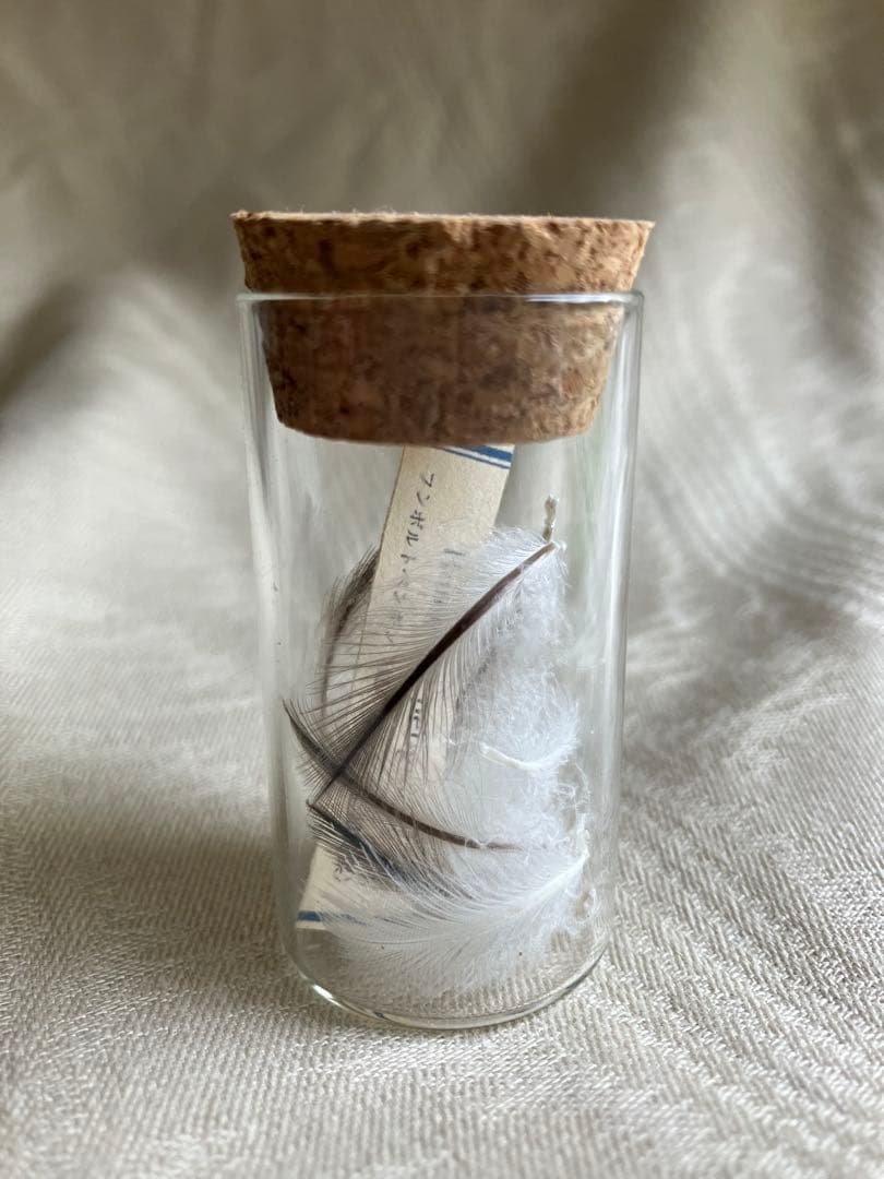 メゾンドペルル　小林モー子　ペンギン　ローソクピアス　希少