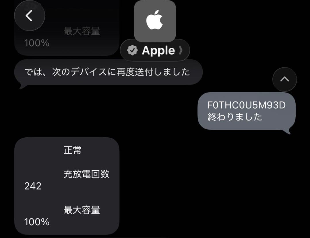 【即日発送】【動作確認済】iPod Touch 第7世代