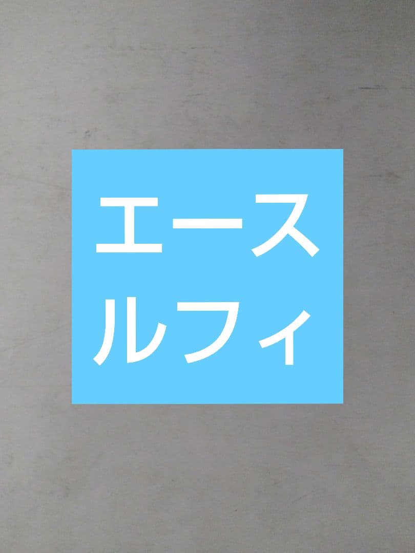 ワンピース ミニスケートボード 2台セット ルフィ＆エース全2種