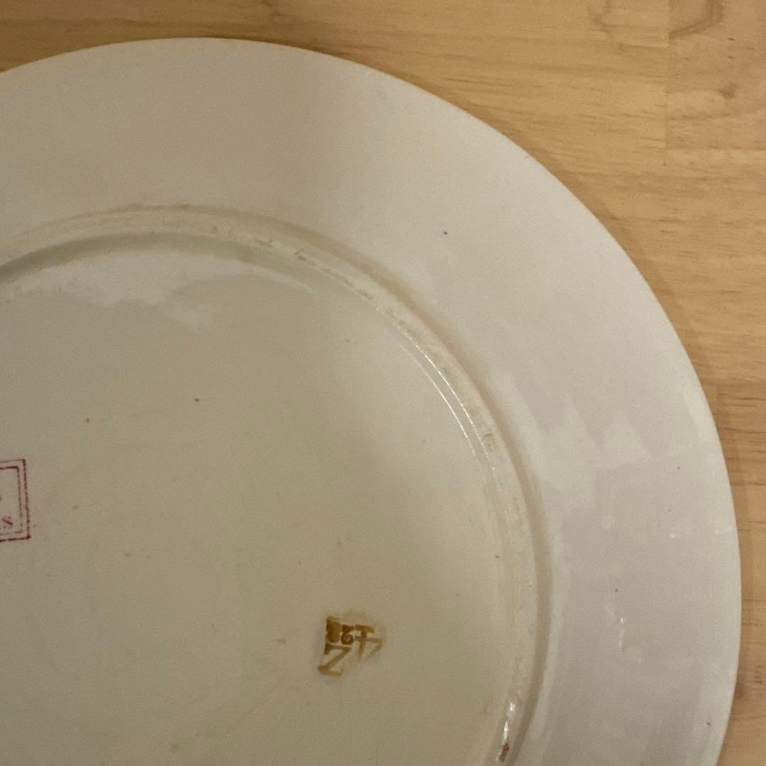 期間限定お値下げサルグミンヌFavoriシリーズ平皿