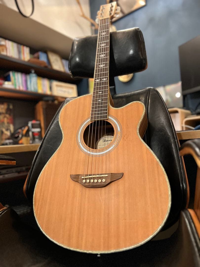 【5/31終了】【良杢目】日本未流通 MONICAアコースティックギター