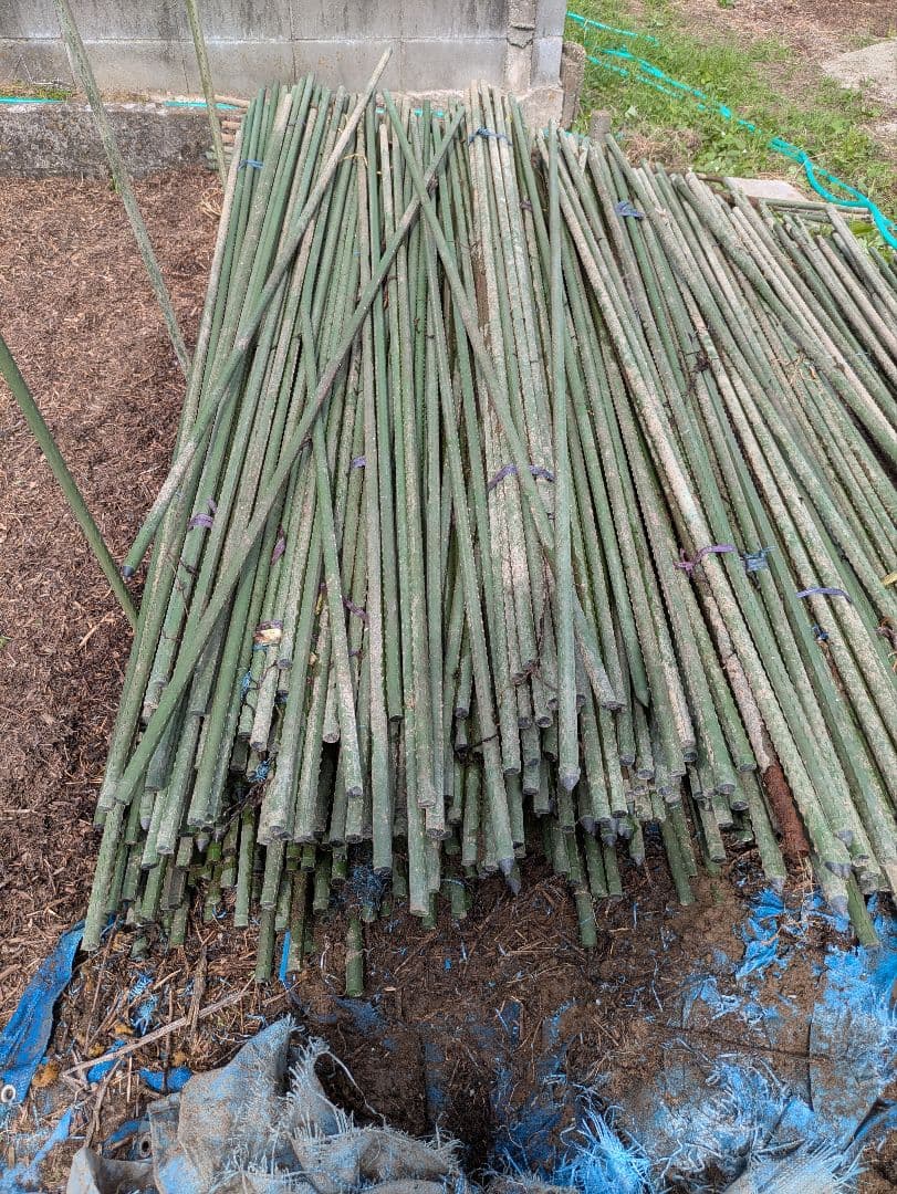 竹支柱 約2.1mイボ竹支柱200本