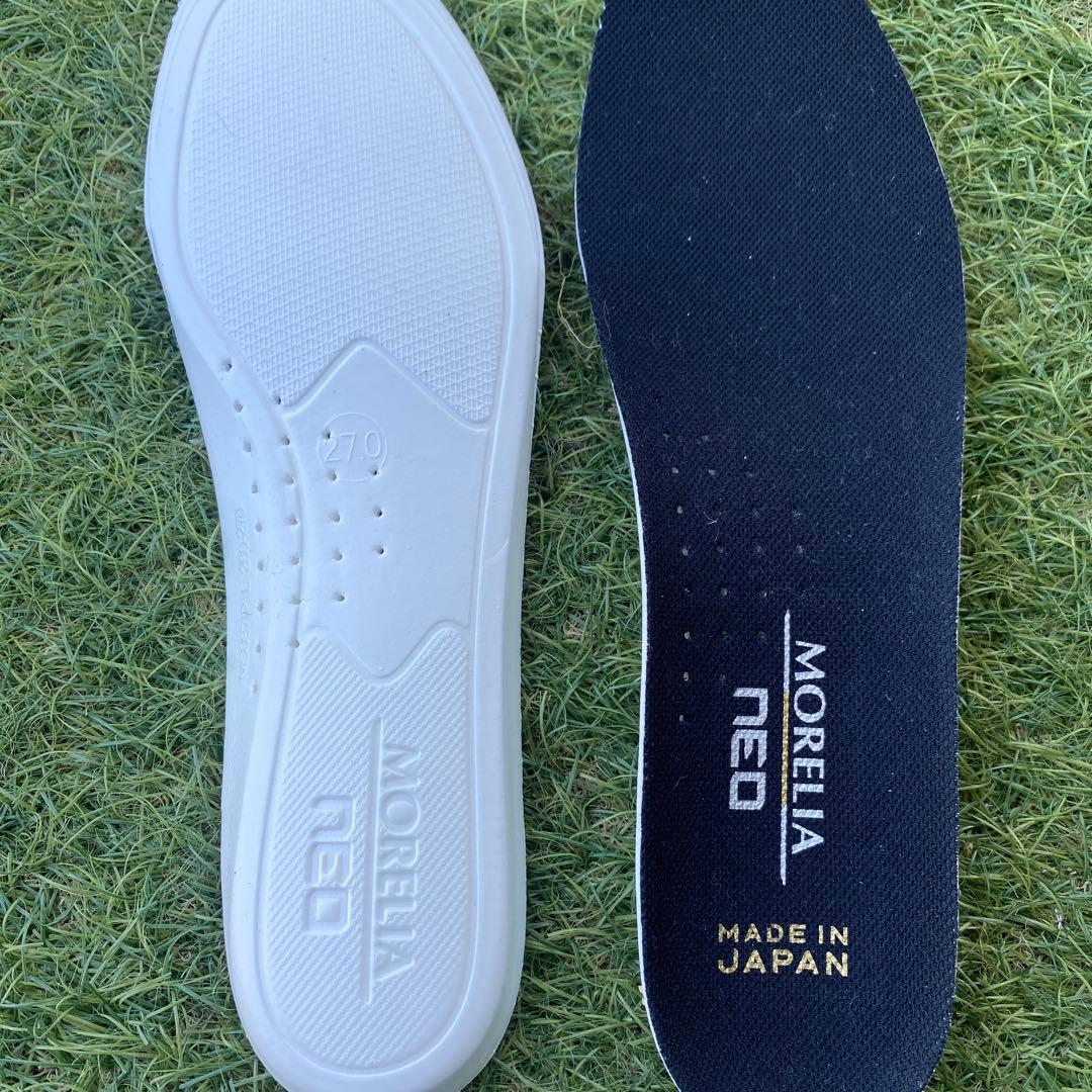 モレリアネオ3βジャパン　　シャイニングカラー