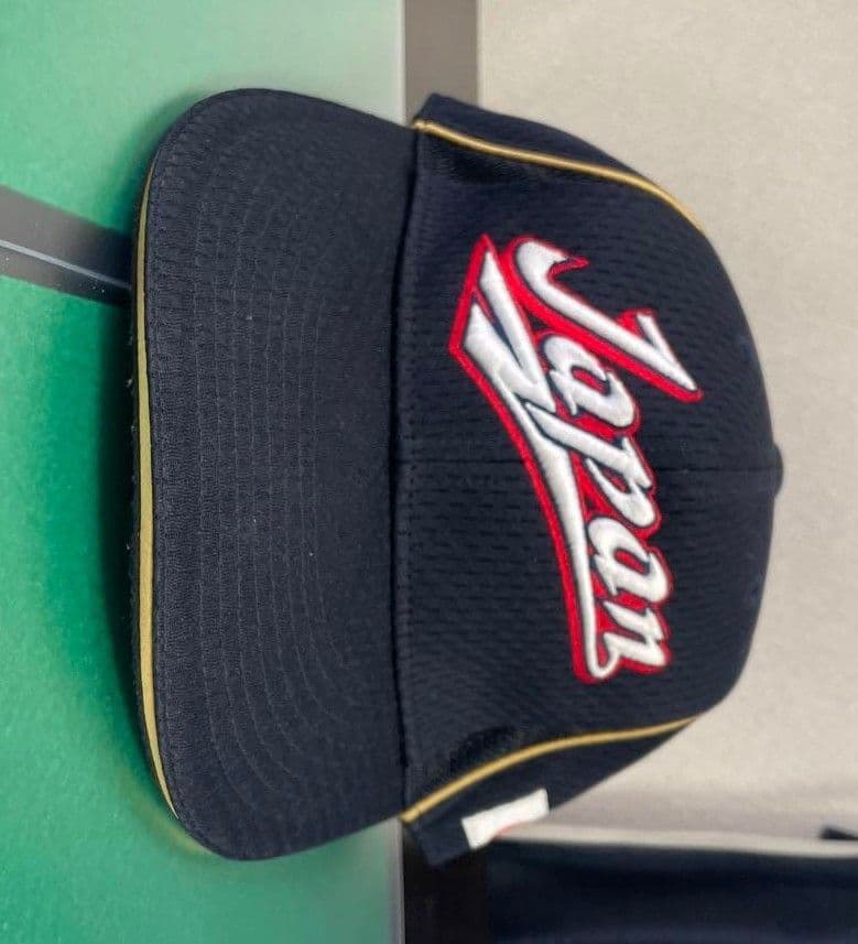 JAPAN プロコレクション MIZUNOPRO ジャパン 日本代表 ミズノプロ