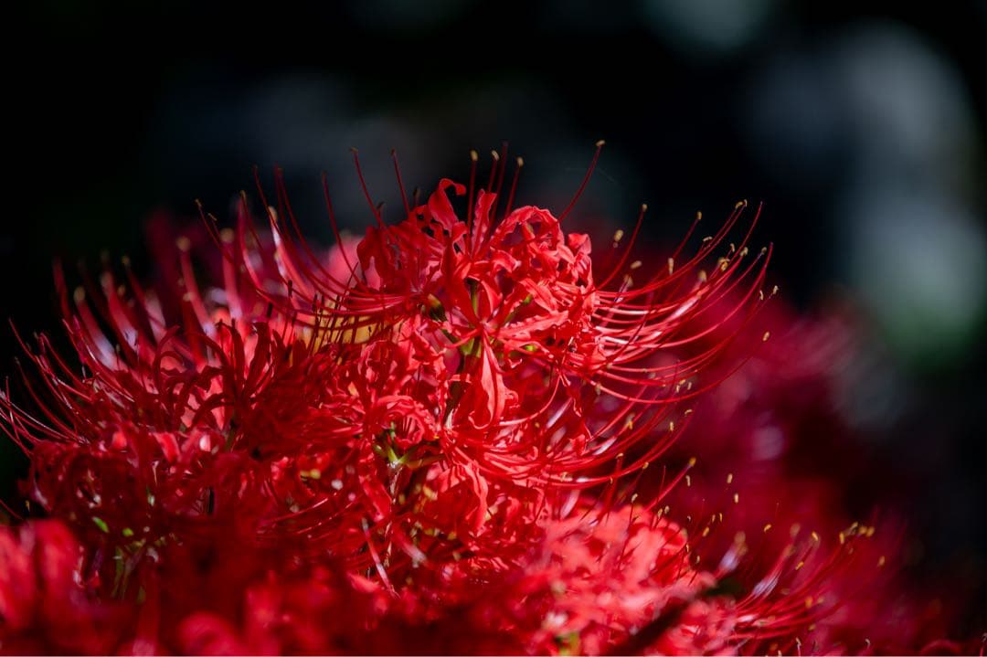 タムロン　70-210mm f4 a034 TAP-in コンソール　ニコン