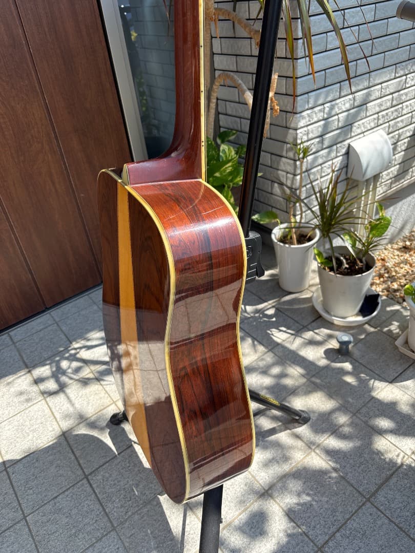 Morris W-60 トップ単板　サイド、パックはハカランダ