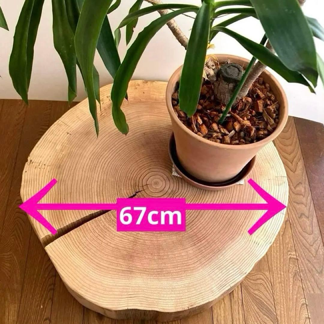 【tak】 【特大67cm】 一枚板　ナチュラルウッド ハンドメイド29