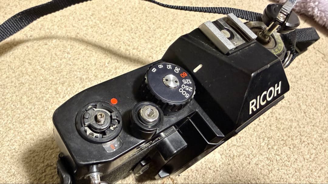 フィルム一眼3台Canon FTb、Minolta X7、Ricoh XR500