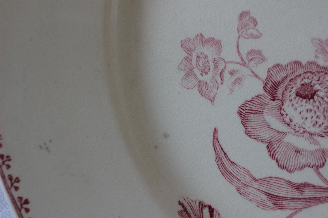 【B】2枚セット【サルグミンヌ】フォンタンジュプレート /フランスアンティーク