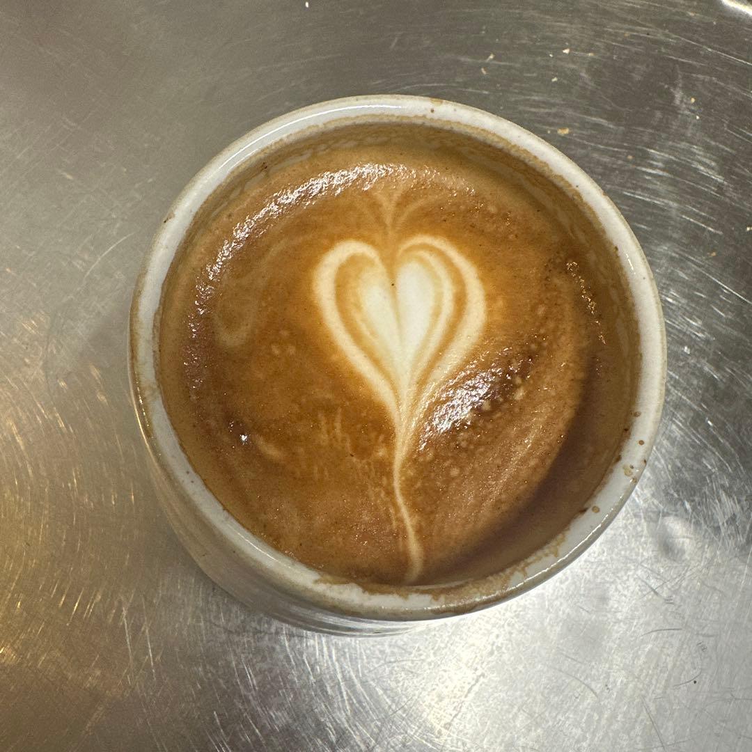 イタリア　【変圧器とグラインダー付き】Breville Barista