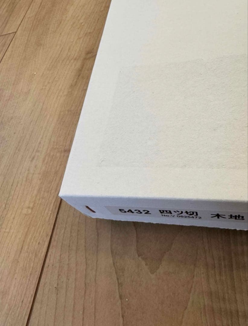 新品　正規品　桂正和 複製原画 I”S アイズ 葦月伊織 集英社