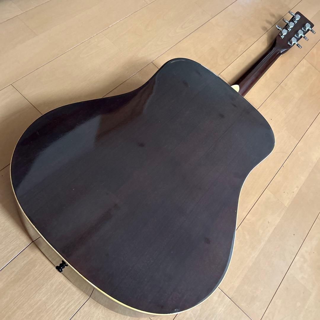 ぴょんたんCat's Eyas CE-200 東海楽器工房