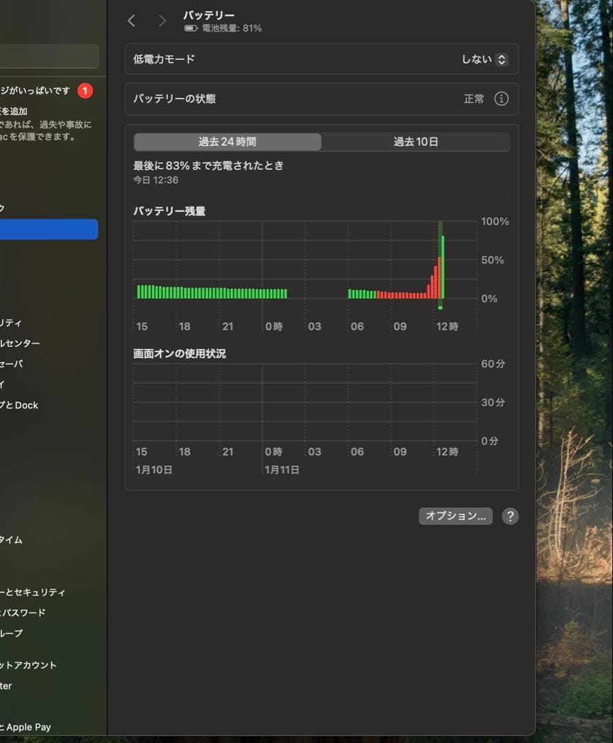 MacBook Pro 13インチ 本体　2019年
