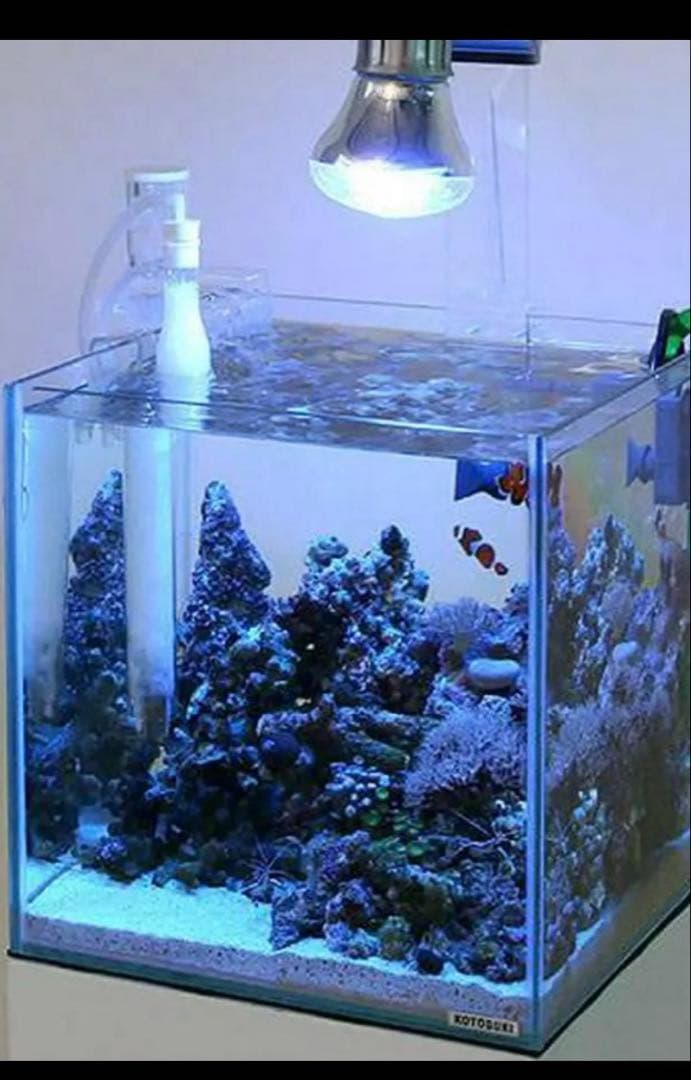 専用★マメデザイン　マメスキマー3mini　mame　skimmer3mini