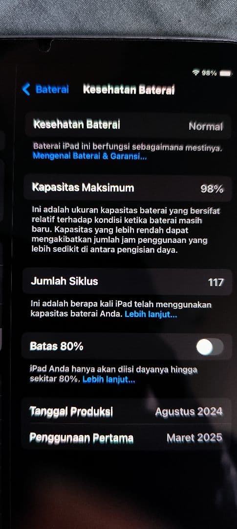 iPad mini (A17 Pro) 128GB パープル