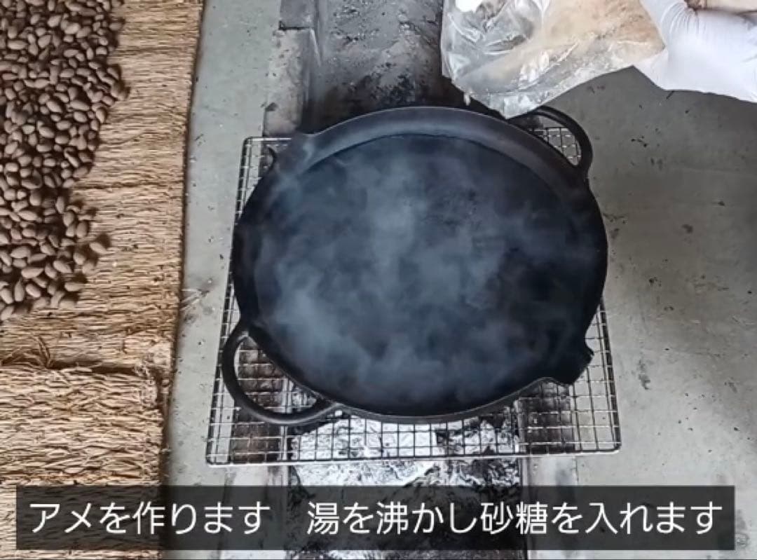 樹齢600年 榧の実（かやの実） 2025年産 1kg アク抜き済み