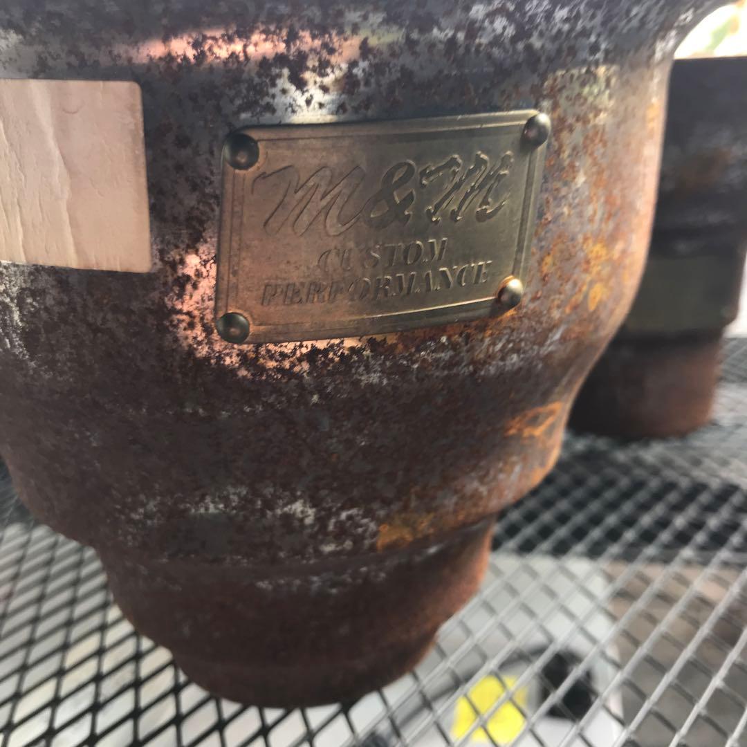 M&M MASSES 鉢付き　陽炎 ユタエンシス エボリスピナ