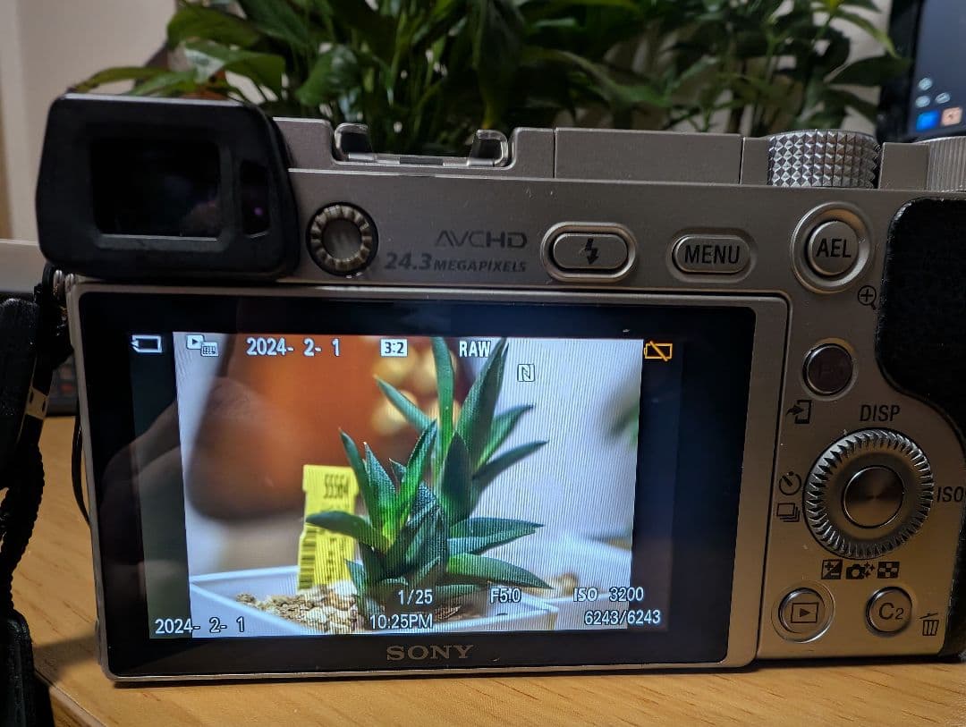 SONY α6000 ミラーレス一眼カメラセット