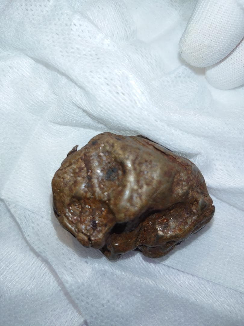 隕石 Sijoté-Alín. 189gr.