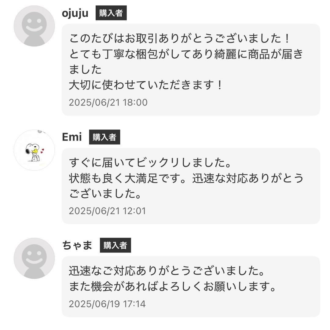 【CoCo様】Takamine アコースティックギター タカミネ T-F0TBS