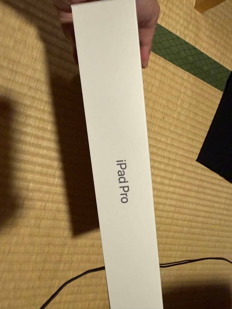 iPad Pro 12.9インチ（第5世代）256GB Wi-Fiモデル