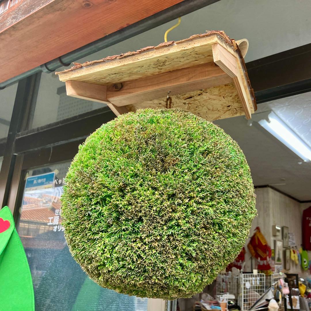 杉玉【屋根付き】④