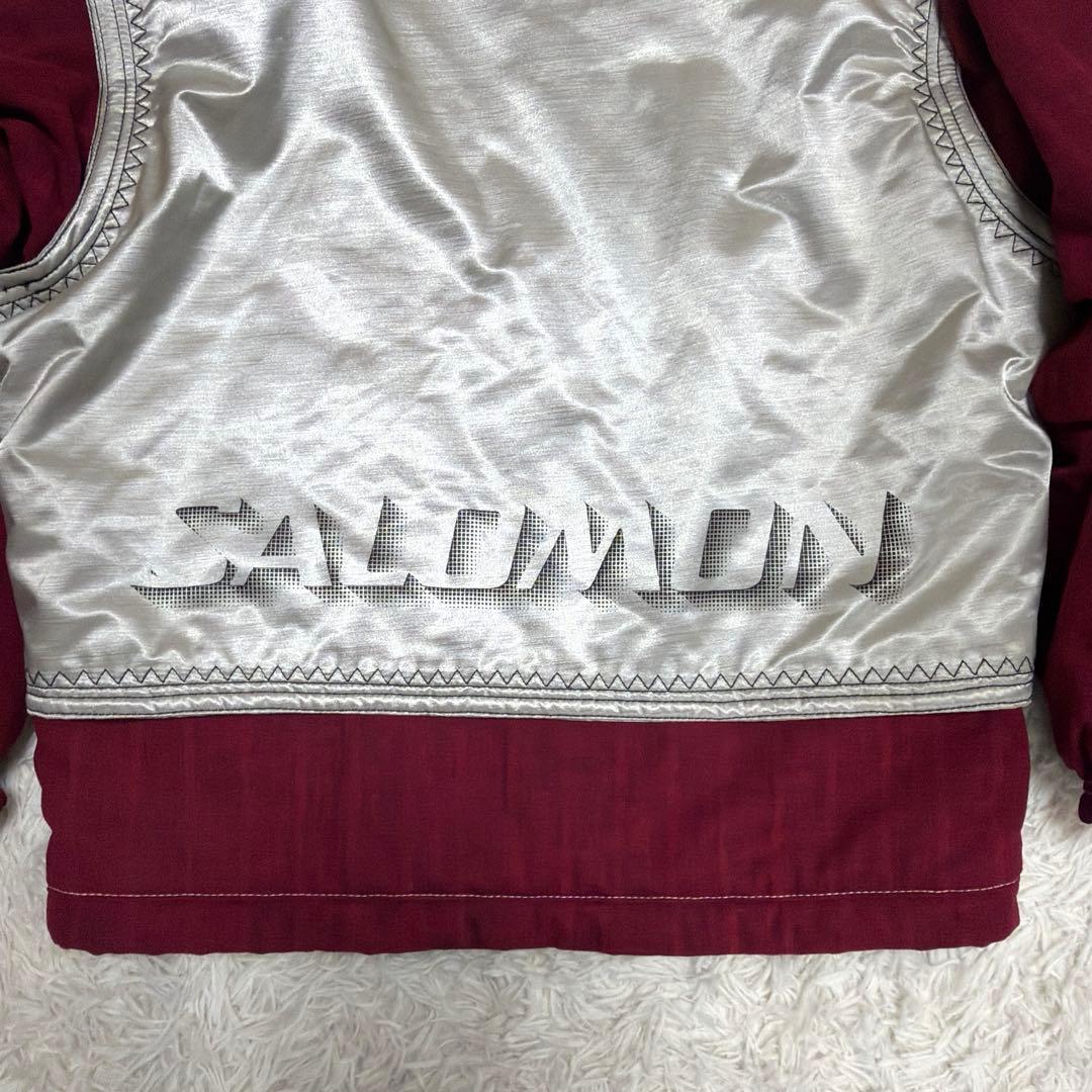 salomon スキーウェア 上下セット Lサイズ　セットアップ　サロモン