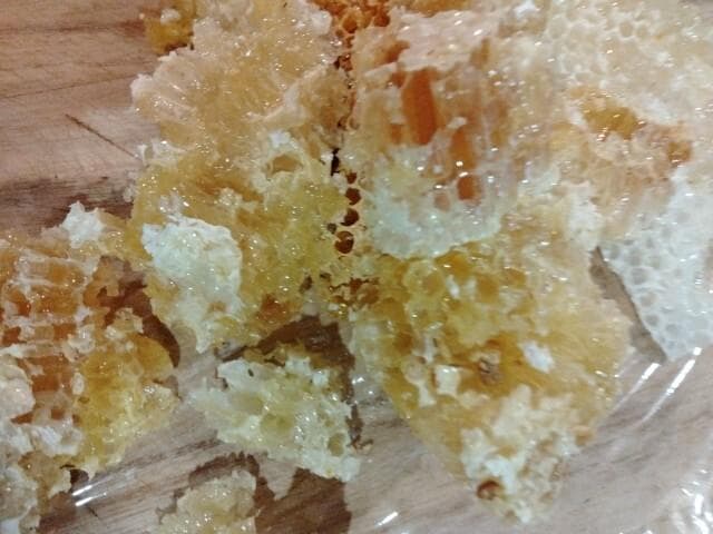 昆虫標本　ニホンミツバチ　巣盤　1番　2590g