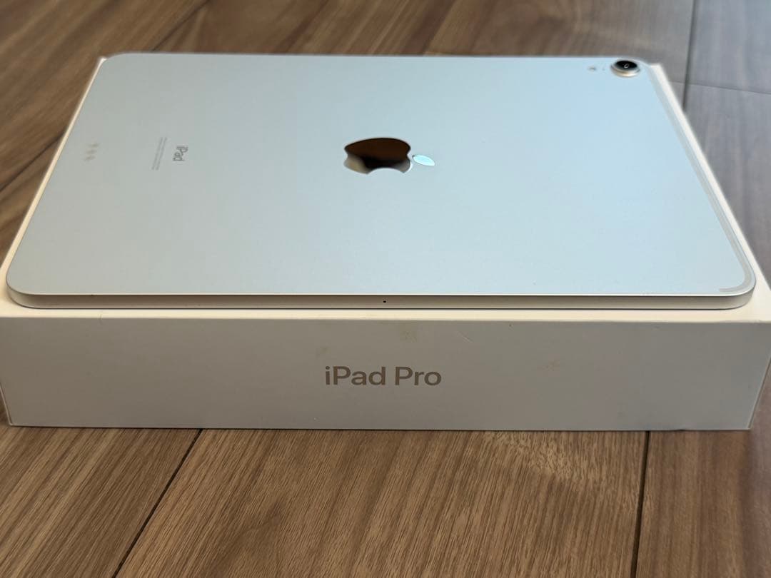 iPad Pro 11“シルバー Wi-Fiモデル 256GB (付属品完備)