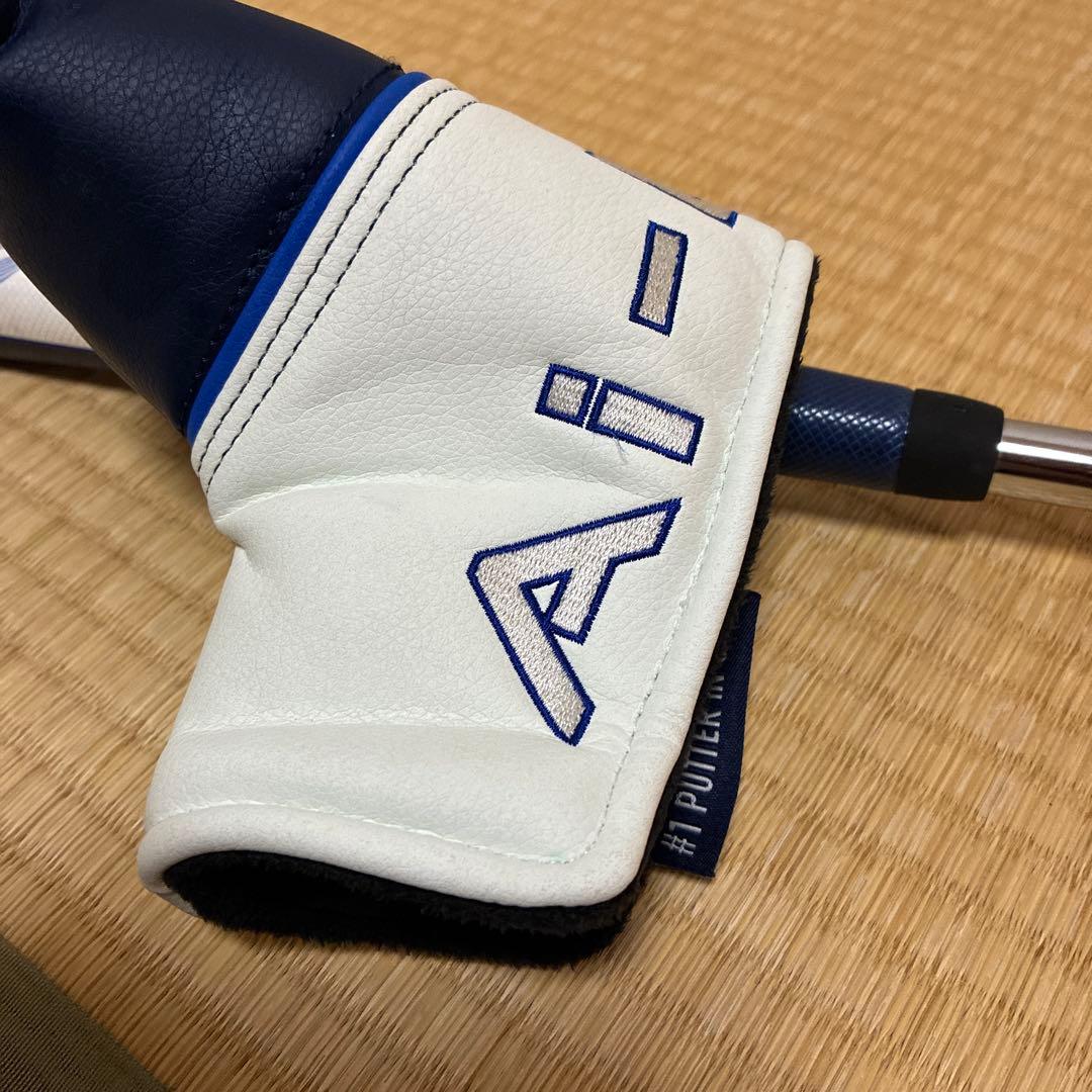 ODYSSEY AI-ONE DOUBLE WIDE パター