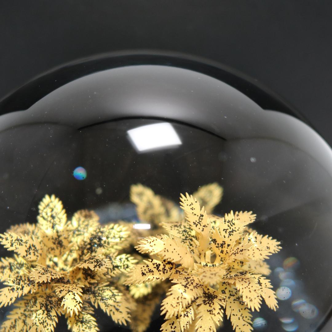 【美品】サンローラン リヴ・ドロワ スノードーム パームツリー ヤシの木