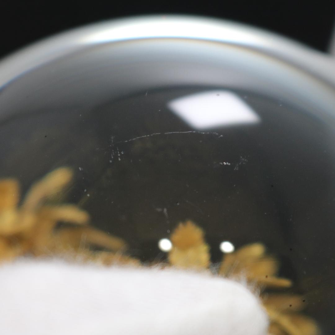 【美品】サンローラン リヴ・ドロワ スノードーム パームツリー ヤシの木